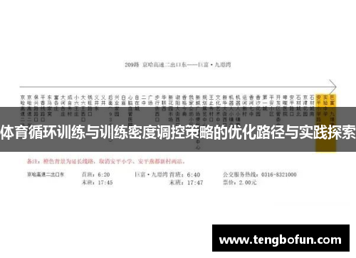 体育循环训练与训练密度调控策略的优化路径与实践探索