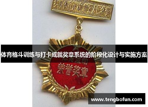体育格斗训练与打卡成就奖章系统的阶段化设计与实施方案