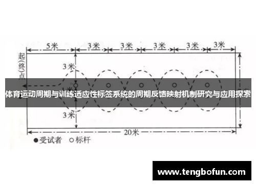 体育运动周期与训练适应性标签系统的周期反馈映射机制研究与应用探索